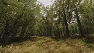 [4K] Skyrim LE 2021 Ultra Modded with Kwanon ENB