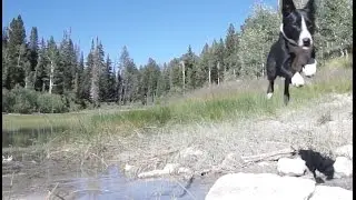 Camping at Grassy, Utah 7-24-15