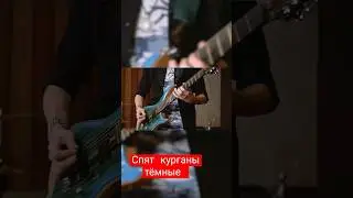 #курганы