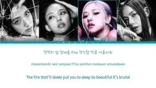🖤💗 BLACKPINK - Pink Venom Lyrics ✨