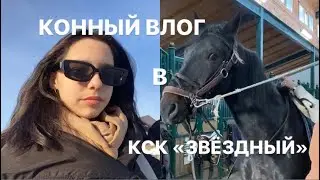 КОННЫЙ ВЛОГ // день на конюшне