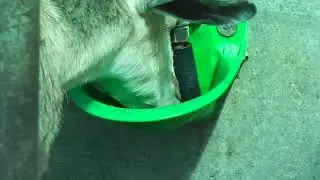 Закрываю хозяйство - 3