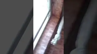 фишка трюк фокус сальто перекасабока