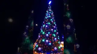 Status For Coming Christmas 🌲 #happynewyear2023