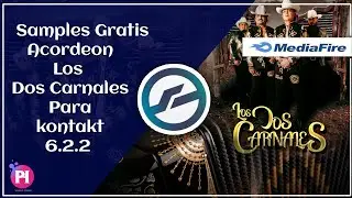 Sample✔️ Acordeon Los Dos Carnales 🎹 Kontakt 2021 Gratis! 🤩