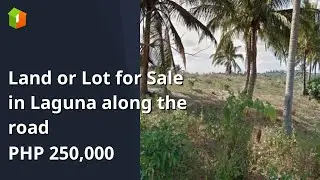 Land or Lot for Sale in Laguna along the road