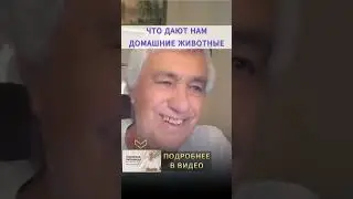 ЧТО ДАЮТ НАМ ДОМАШНИЕ ЖИВОТНЫЕ. Жизнь и здоровье домашних питомцев