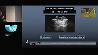 2015 Lung   The Blue Protocol and Advanced issues  Lichtenstein Daniel