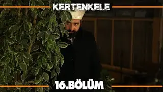 Kertenkele 16. Bölüm