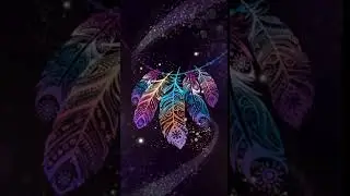 Bohemian feather Animated