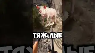 Самая странная смертная казнь/Спидран