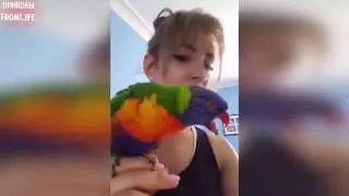 Засмеялся проиграл challenge