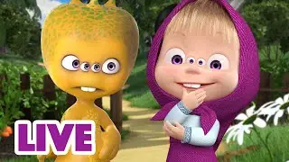 🔴 EN DIRECT 🐻👱🏻‍♀️ Masha et Miсhka ✨ Profitez de votre curiosité 👽☄️ Masha and the Bear