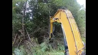 Raw Arpad Masticating caught on Camera