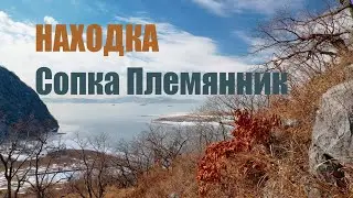 Племянник