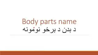 Body Parts name in Pashto | د بدن د برخو نومونه