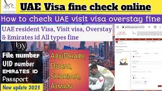 How to check visa fine in uae | UAE Visa fine checking online | Uae visit visa, overstay fine🇦🇪Dubai