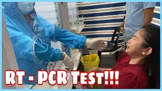 MY FIRST RT - PCR TEST EXPERIENCE WITH AIRSWIFT TEAM | Angelie Brows