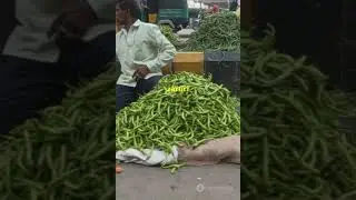 कैसे भारतीय एक डिश से बचा रहे हैं ग्रह! #plantbasedhealing  #sustainableliving  #ecofriendly