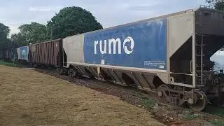 Trem da Rumo em Sumaré - SP (27/10/2024)