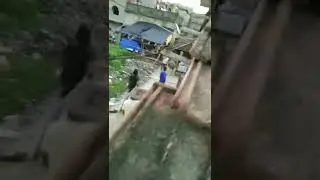 bankra notun para howrah funny video cow