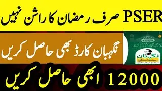Pser Punjab Gov Pk Online Registration | Nigehban Card Program 2025