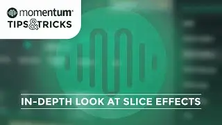In-Depth Look At Slice Effects | Momentum Tips