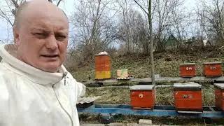 Первый Осмотр Пчёл. 29.03.2024.пригород Харькова.