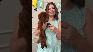 Пижамки