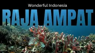 Fill Text with Video | Text Mask Typography Art Canva Tutorial