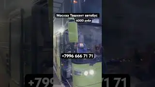 Moskva Tashkent Aftobus #ташкент #автобус #дальнобой #avtobus #топ #тикток #такси #taxi