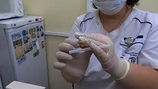 4 -й день занятий на кафедре алгологии и реабилитации ИВМ РУДН проф. Соков Е.Л, проф. Корнилова Л.Е.
