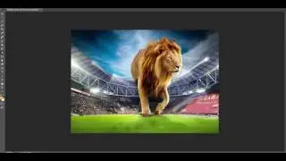 Galatasaray, futbol kulübü | Soccer game moment with goalkeeper