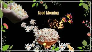 Good Morning Animation//Good Morning//Good Morning Animation Video