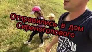 Сиреноголовый в нашем лесу