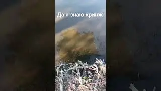 это полный кринж