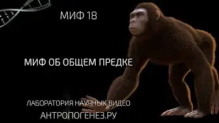 Миф об общем предке. Мифы об эволюции человека.