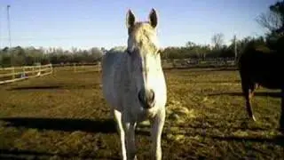 saying farewell to grey