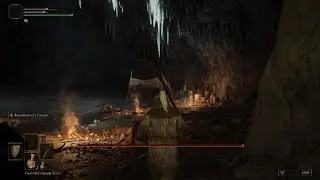 Elden Ring disrespect