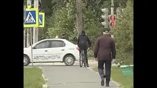 Положительная динамика. ТК «Первый Советский»