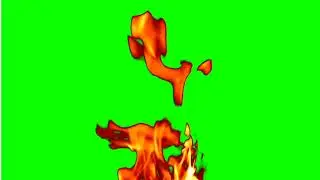 fire in Green screen video