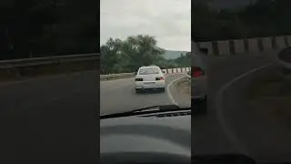 Кони в Даховской.