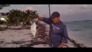 Another catch before the 2021 year End, Cayman Jack and Snapper