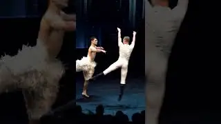 Swan Lake Duet 🦢✨ | Jackson Fisch and Rory MacLeod at the CTG Gala