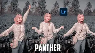 Lightroom Tutorial Panther | Lightroom Mobile Preset | Lightroom - Tutorial