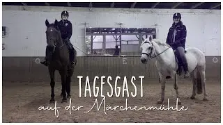Elevated - Tagesgast auf der Märchenmühle