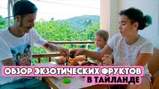 ОБЗОР ЭКЗОТИЧЕСКИХ ФРУКТОВ В ТАЙЛАНДЕ. ПРОБУЕМ МАНГУСТИНЫ, ДРАГОН ФРУТ, ПАПАЙА, ДЖЕКФРУТ