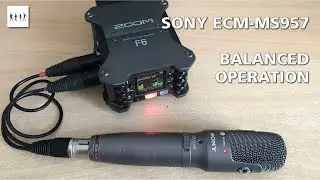 SONY ECM-MS957 Stereo Microphone - Balanced Operation