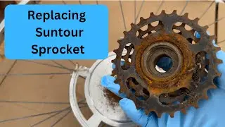 Lucky To Find Freewheel Remover  #bikerepairs