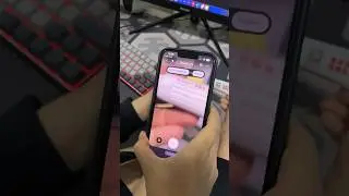 BISA TRANSLATE LIVE GINI BROK